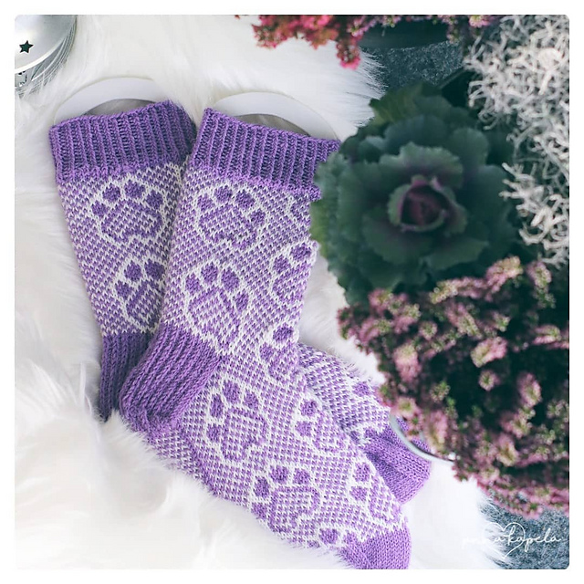 PAWSOME socks