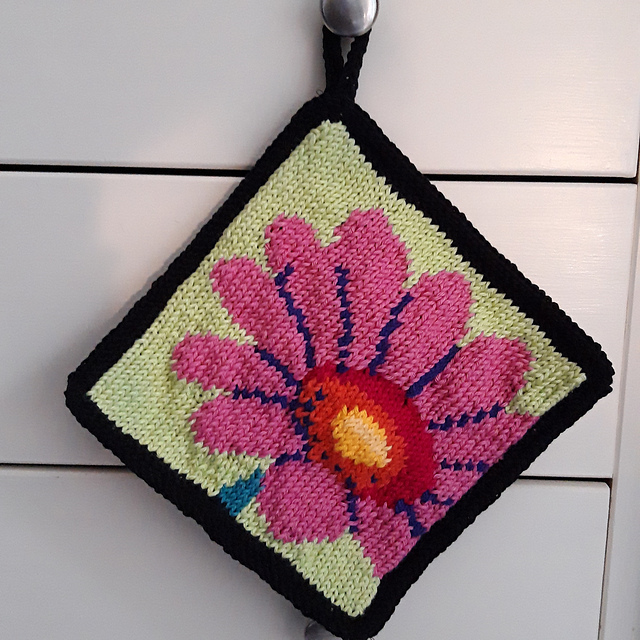 Gerbera