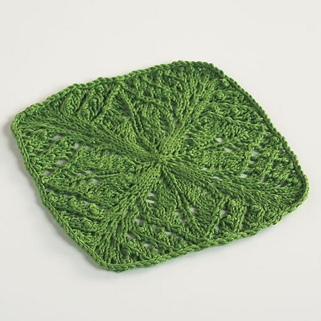 Candleberry Dishcloth