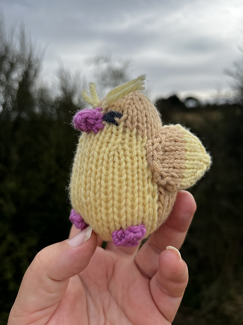 Pidgey Bird