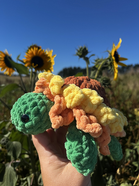 Sunflower Turtle