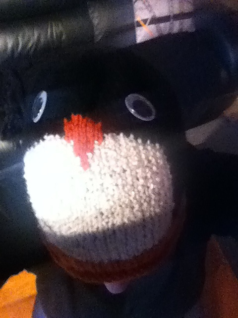 Penguin Hat