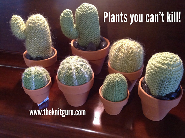 Plants you can't kill - knitted cactus