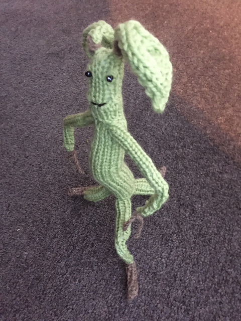 Pickett the Bowtruckle