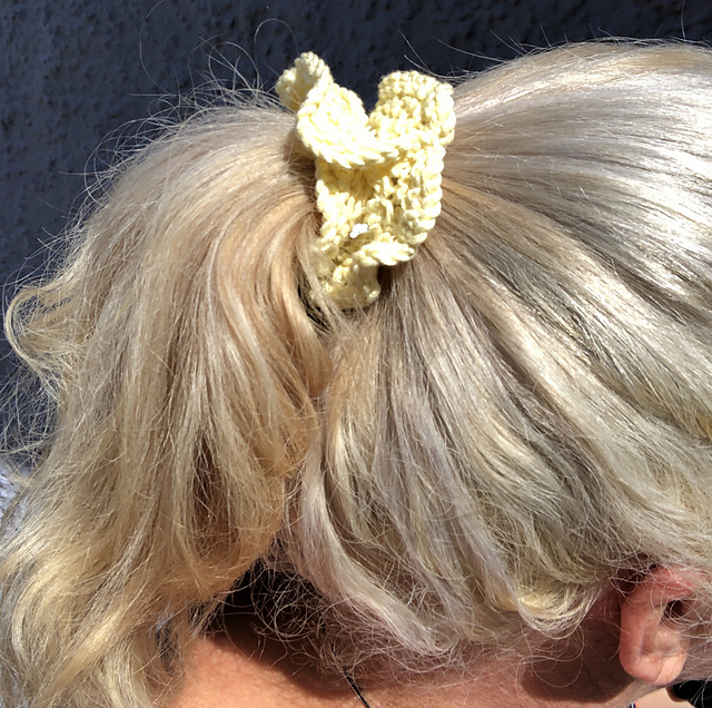 Hair Scrunchie