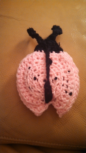 Ladybug Rattle
