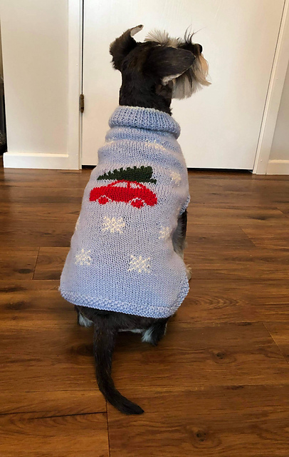 Festive Dog Coat
