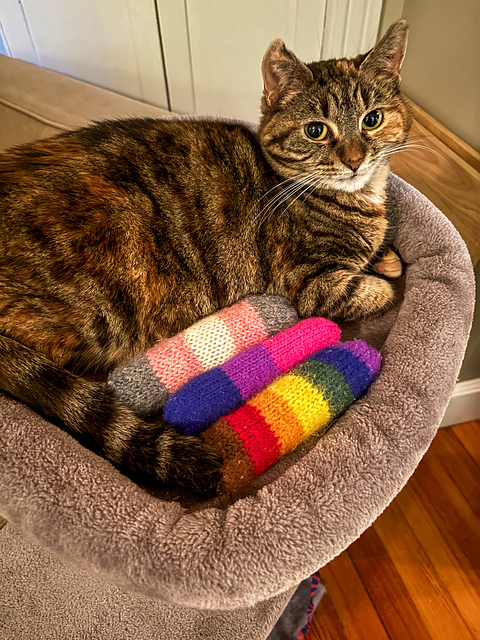 Pride Catnip Kicker