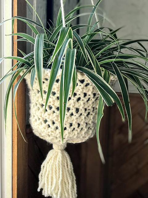 Hang In There Basket