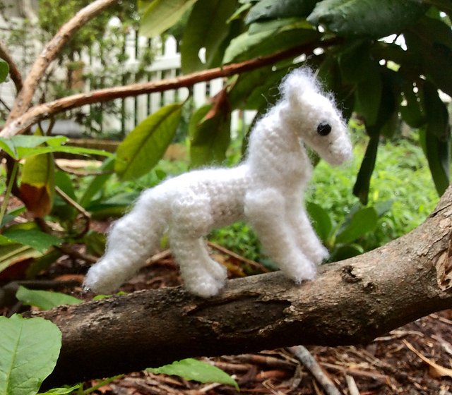 Arctic Fox