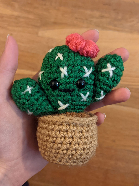 Cute Little Cactus