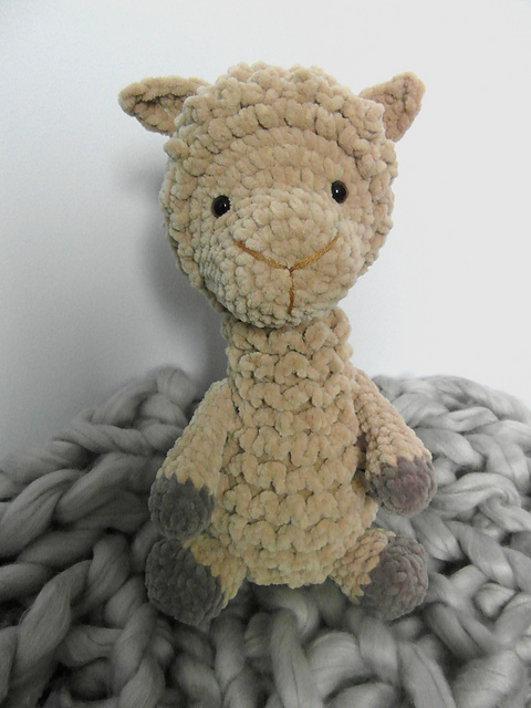 AL Mission - alpaca