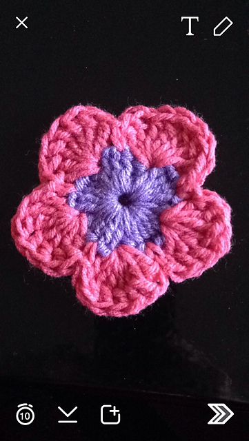 Pentagon flower