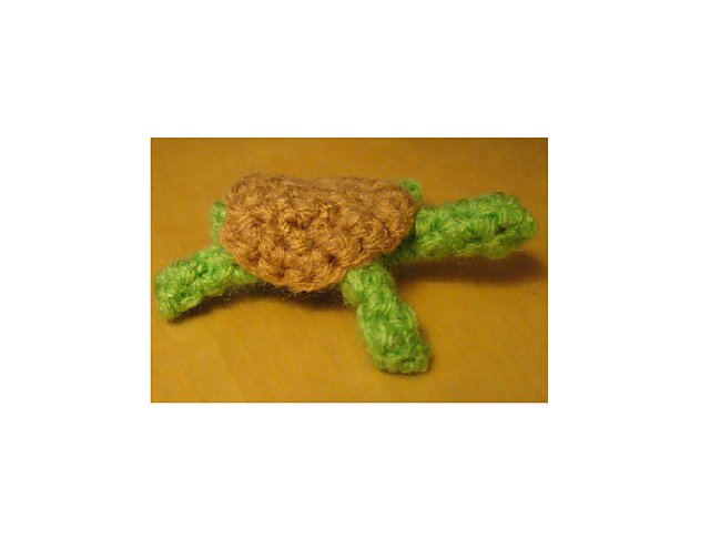 "Teeny" the Tiny Turtle