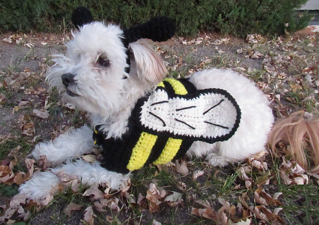 Bumblebee Dog Costume