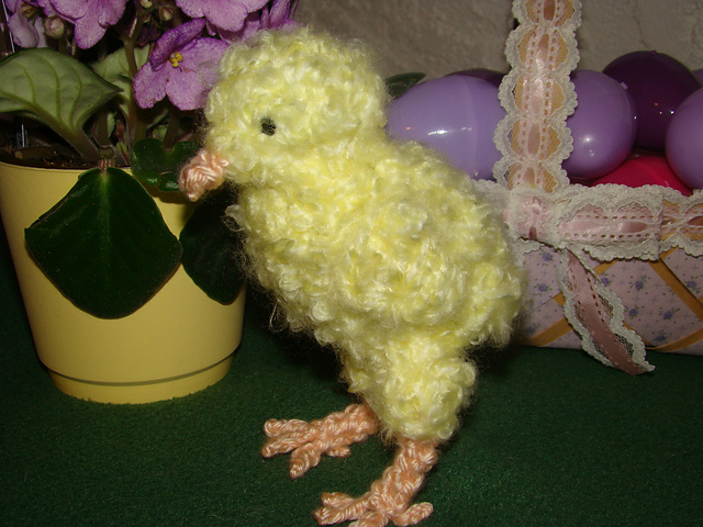 "Fuzzy" the Newborn Chick