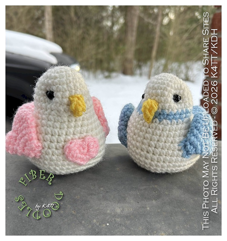 CP78 - Valentine's Day Love Birds 2026