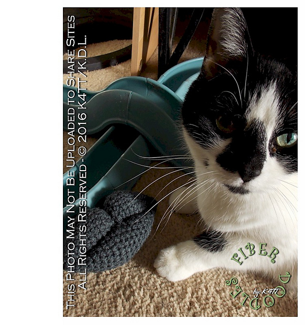 Stuffed Lips Cat Toy