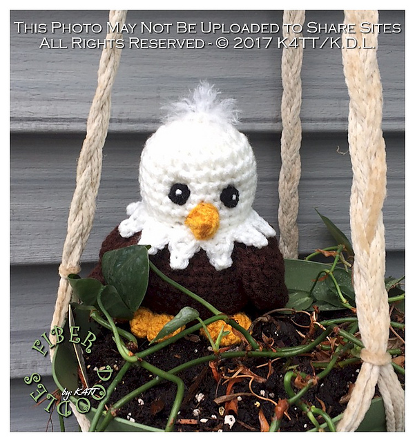 Memorial Day Eaglet