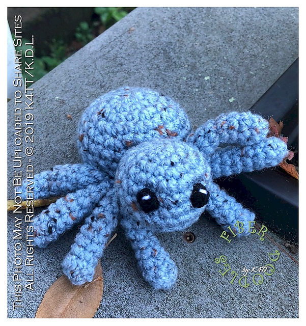 An 8 Legged Little Nope
