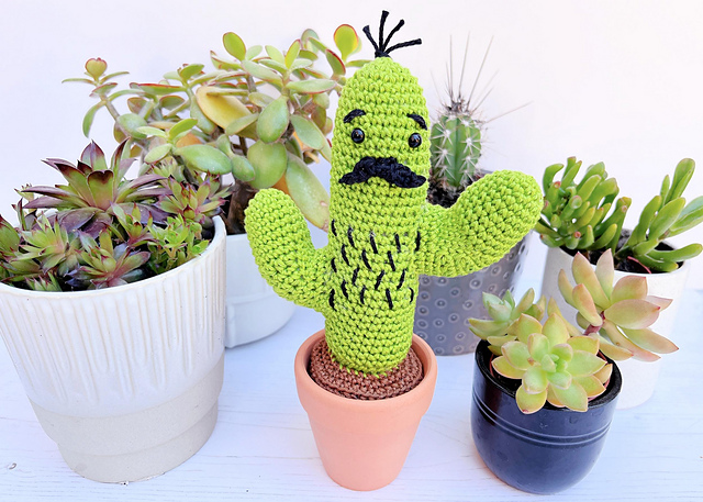 Curtis the Cactus