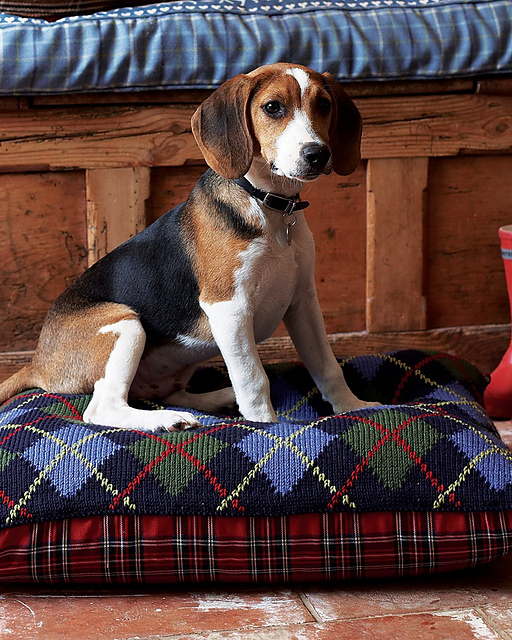 Ravelry 28 Argyle Bean Bag Dog Bed pattern by Debbie Bliss