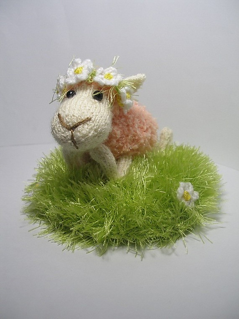 Daisy the Sheep
