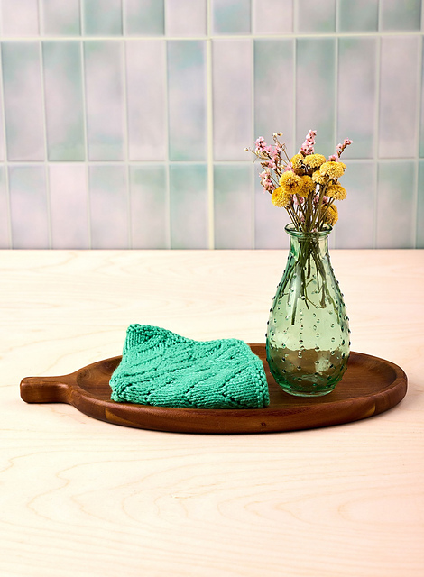 Shine Spa Washcloth