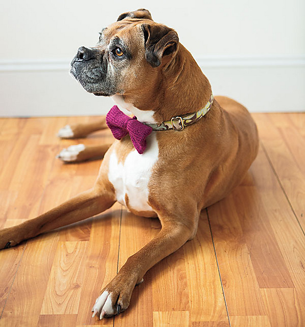Fancy Puppers Tie