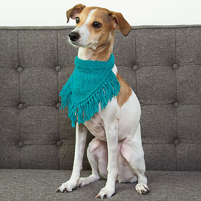 Boho Pet Bandana