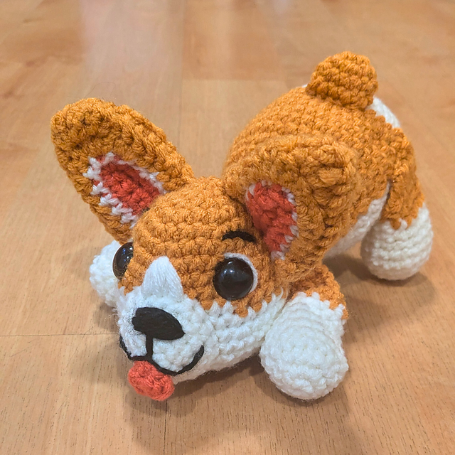Kora the Corgi Puppy