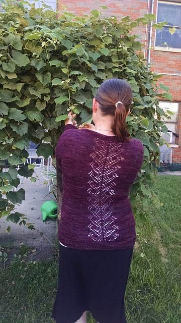 Swan Cardigan