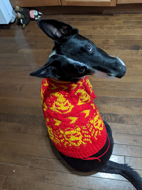 Gryffindog