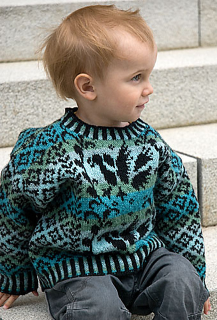 Sånga Fågelkrans Childs Sweater