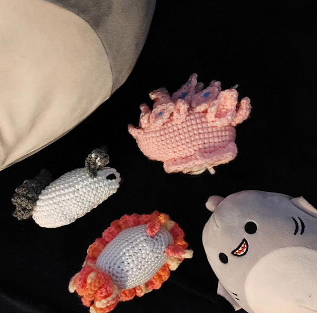 Sea Slugs