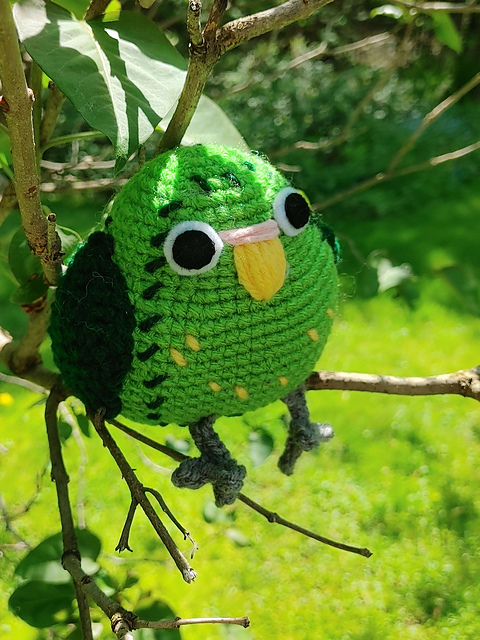 Chubby Kakapo!