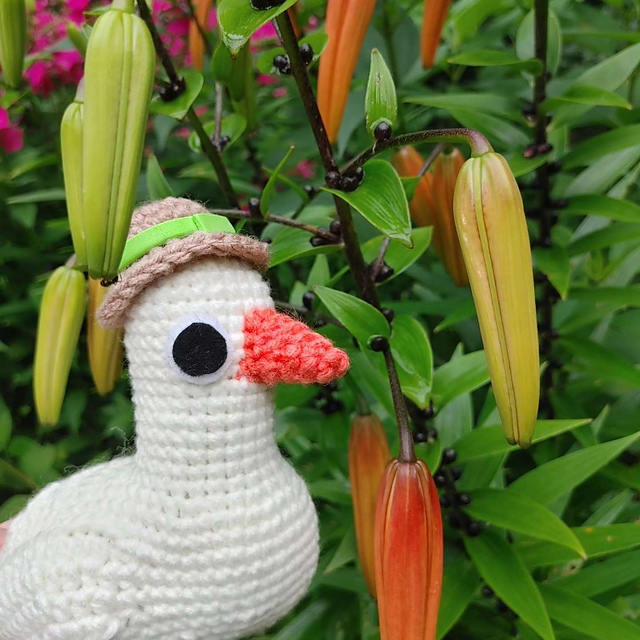 Polite Goose With A Hat