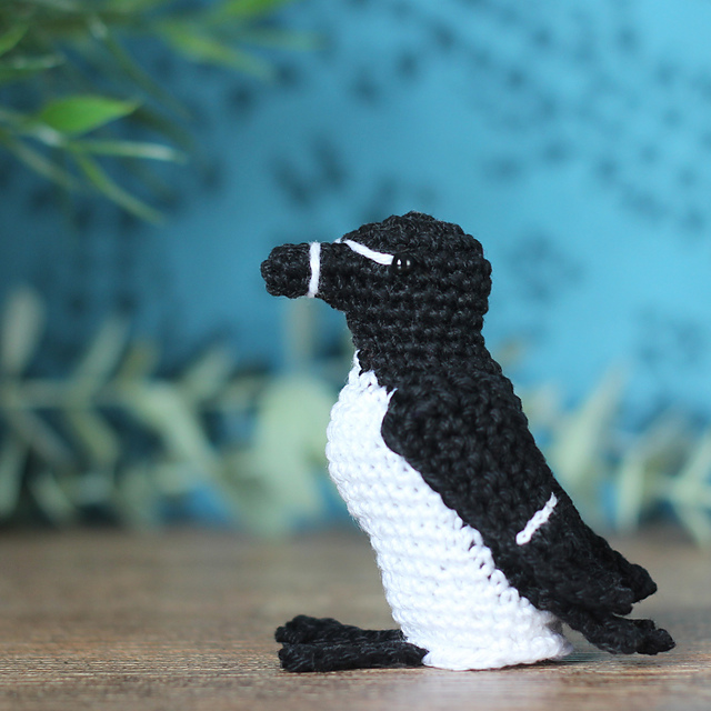 Alcide le pingouin torda