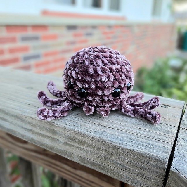 Little Velvet Spider
