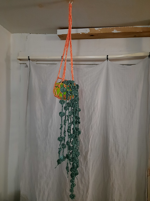 String of Hearts Hanging Basket