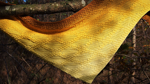 Cassiopeia Shawl