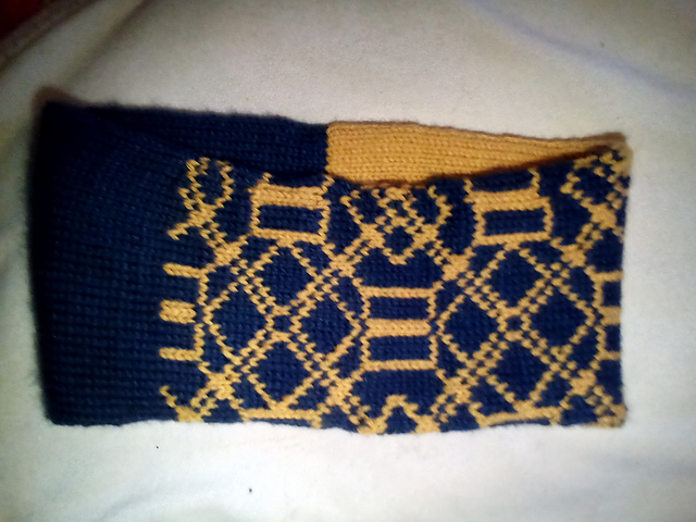 Royal Blue Cowl