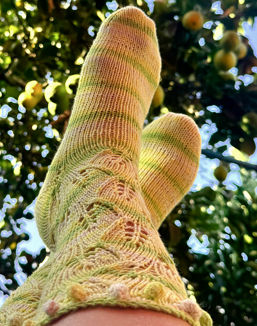 Calcetines Limón