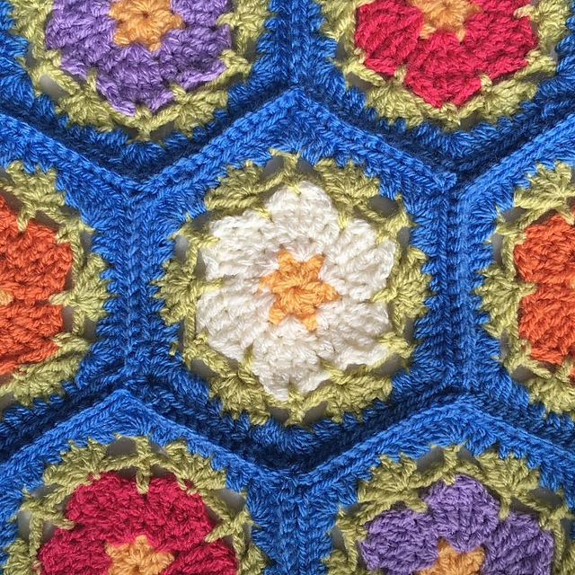 Primrose Hexagon