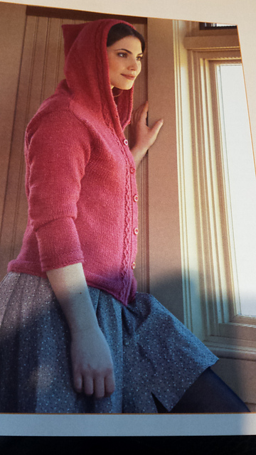 Hooded Cardigan with Twisted Braid Panels