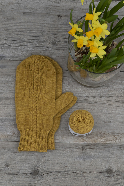 Jovi Mittens