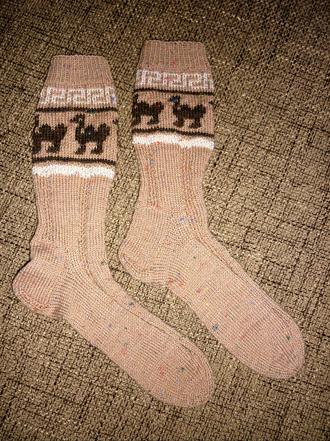 Mali / Sahara - Herrensocken mit Jaquardbordüre