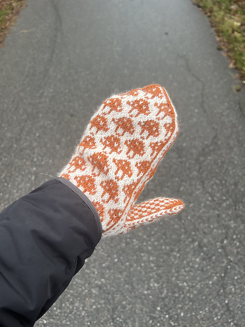 Mushroom Mittens