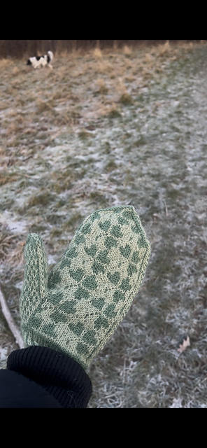 Lucky Me! Shamrock mittens