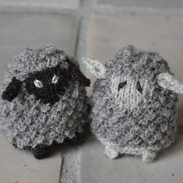 Sheep